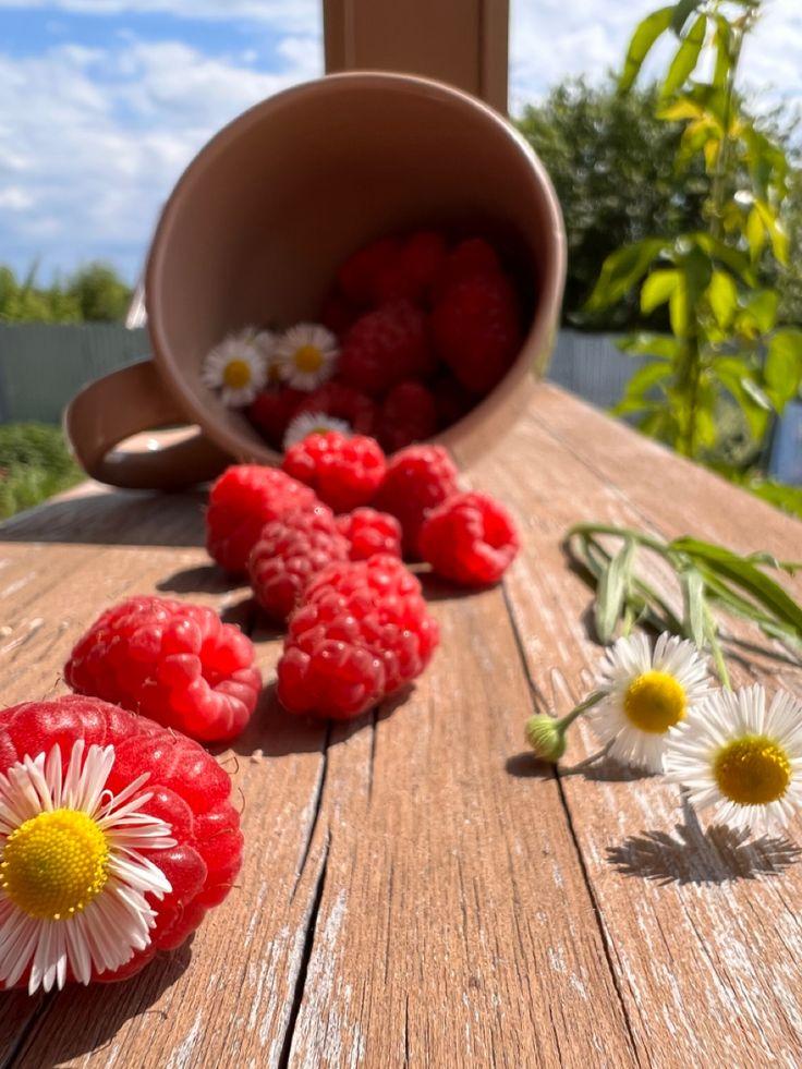 Berry Bounty: Orchard-Fresh Delight Pack